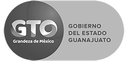 Guanajuato_LOGO.01505b8283d7287e3568808180696490eaaa0651